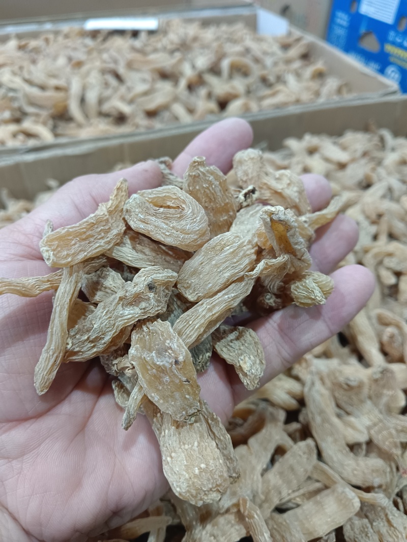 野生小天麻，原产地发货批发零售