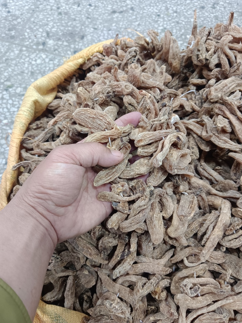 野生小天麻，原产地发货批发零售