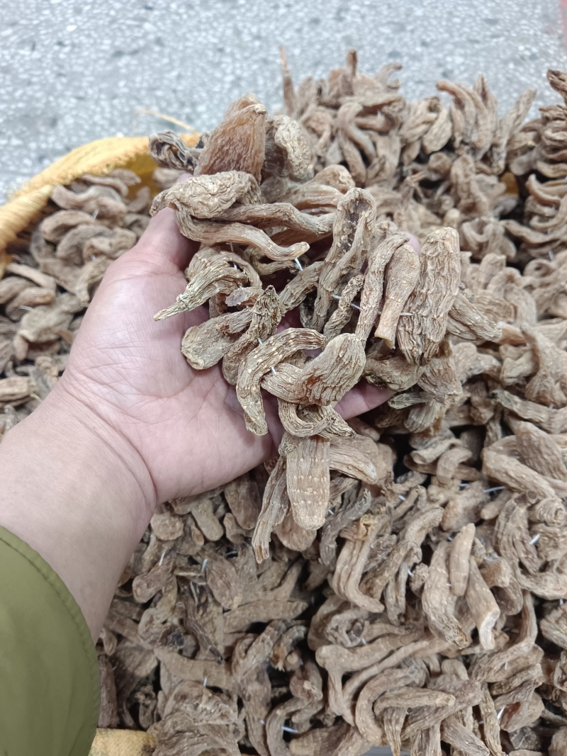 野生小天麻，原产地发货批发零售