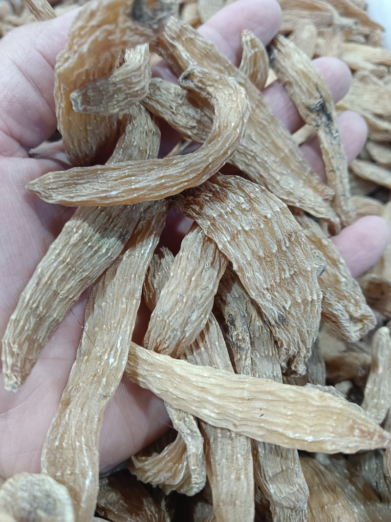 野生小天麻，原产地发货批发零售