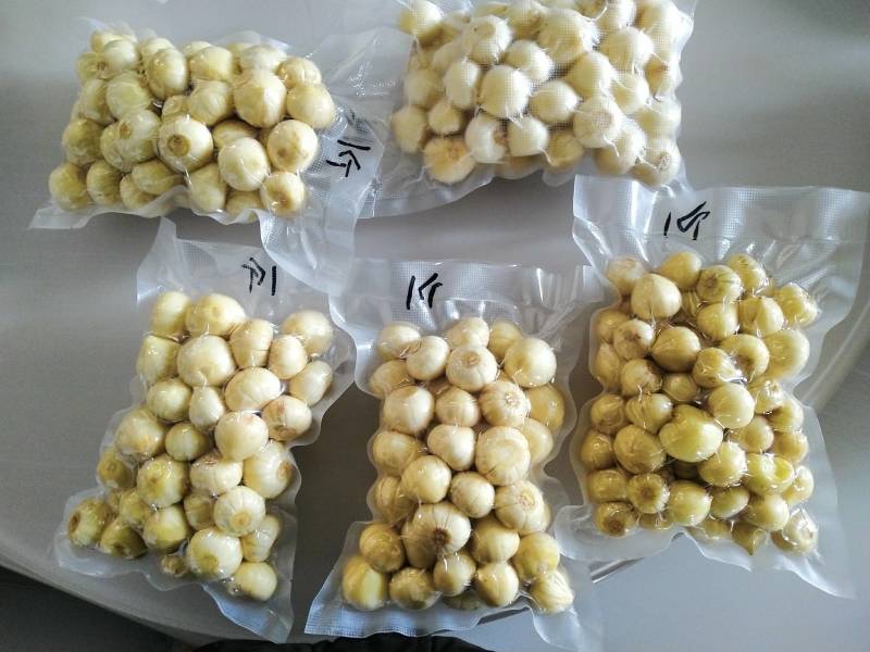 云南紫皮独头纯手工扒白真空包装