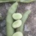 蚕豆