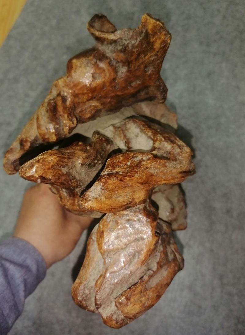 奇楠沉香老料