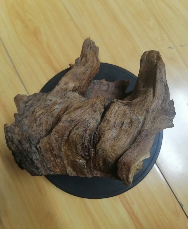 奇楠沉香老料（闪光灯和自然光拍照）