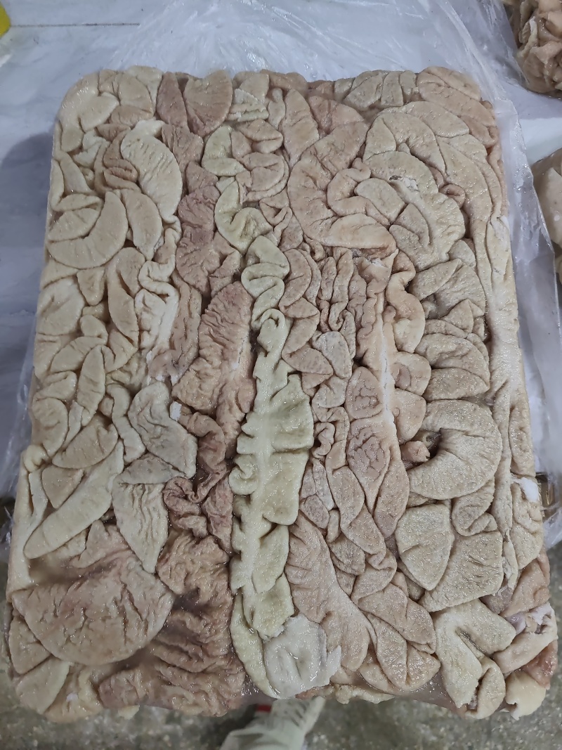 95预煮