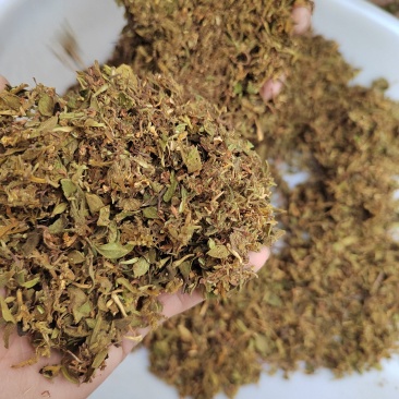 金银花叶子\头子