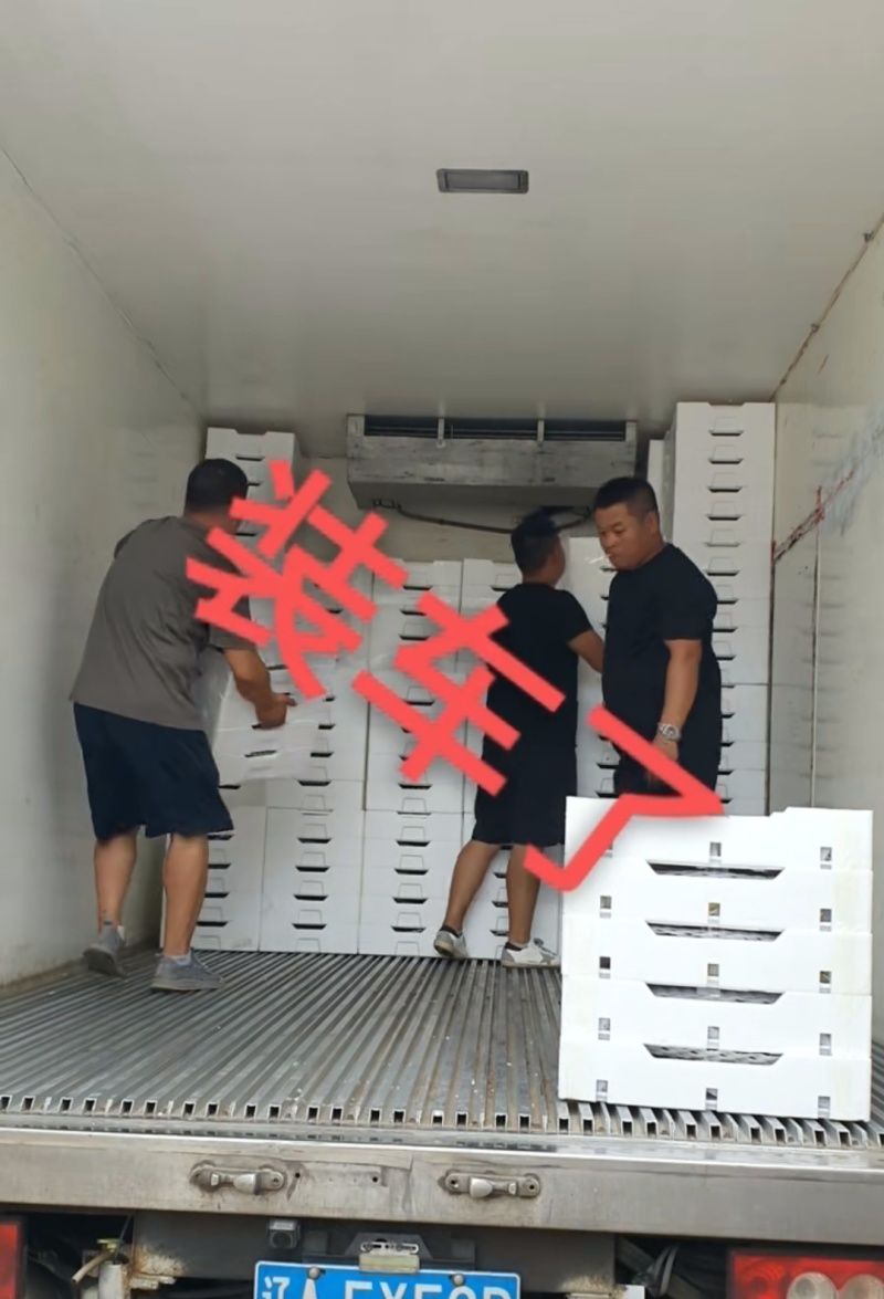 云南老树无花果，现摘现发，空运直达，全年供应，200斤起批