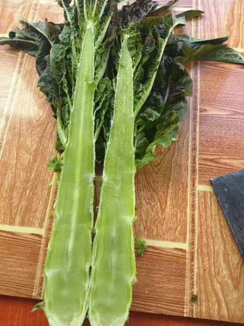 大量红笋上市