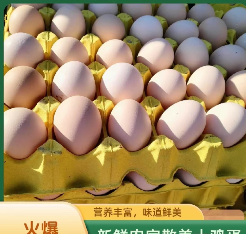 土鸡蛋