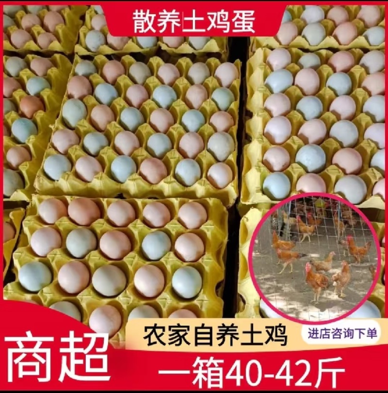 土鸡蛋
