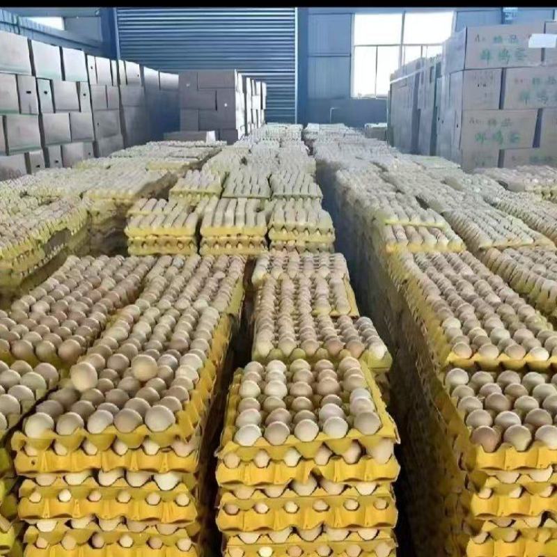 土鸡蛋