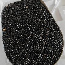 精品花椒籽，装枕头专用，