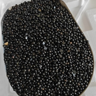 精品花椒籽，装枕头专用，