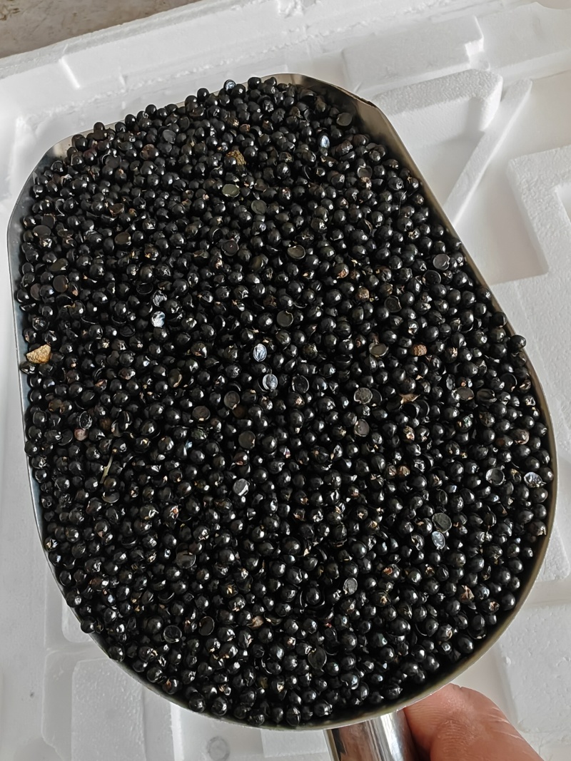 精品花椒籽，装枕头专用，