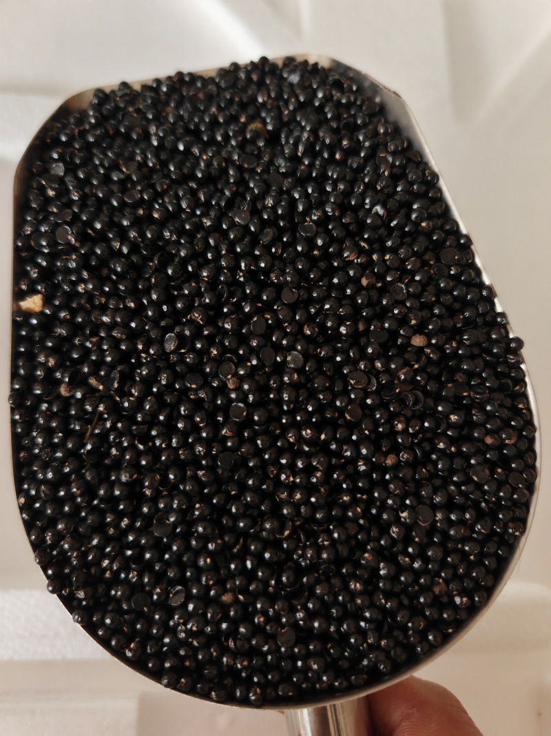 精品花椒籽，装枕头专用，