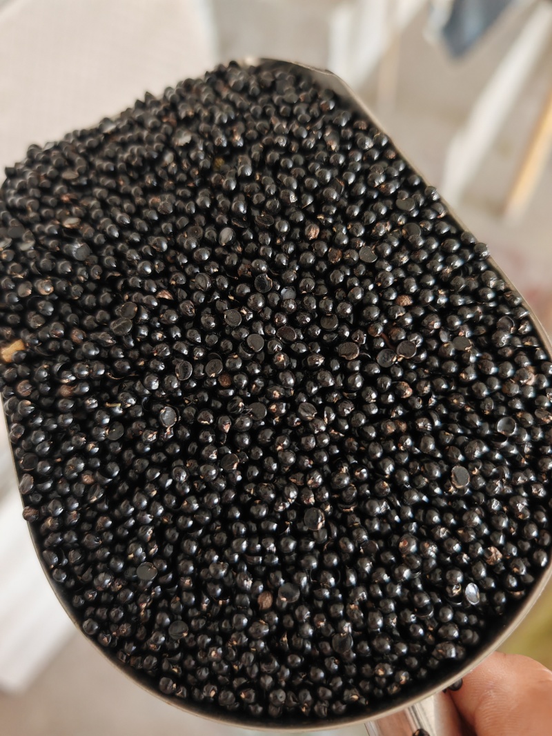 精品花椒籽，装枕头专用，