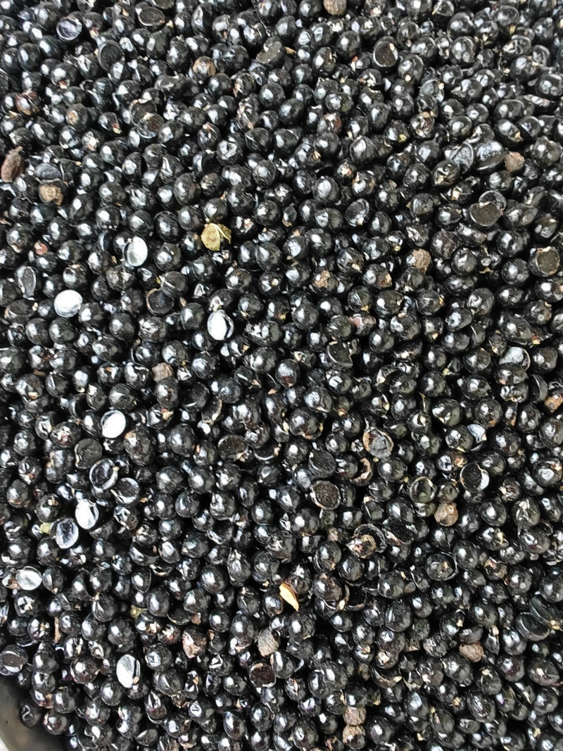 精品花椒籽，装枕头专用，