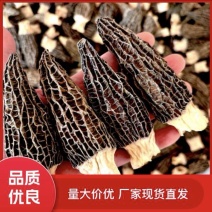 【产地直发】精品头茬新货羊肚菌原产地一斤起批包邮