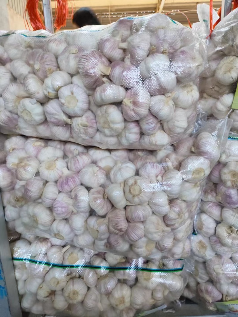 山东大蒜金乡大蒜产地直销量大从优质量有保证