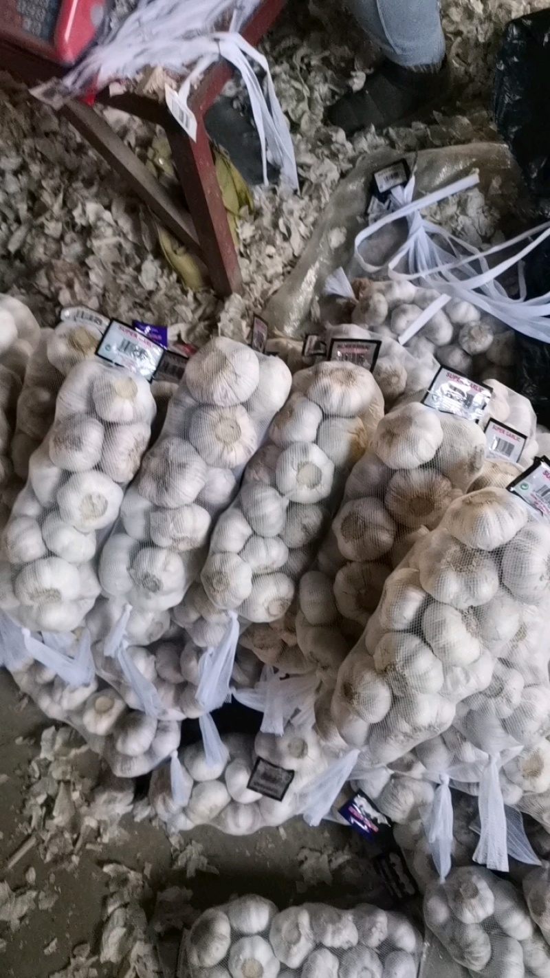 山东大蒜金乡大蒜量大从优价格便宜质量有保证