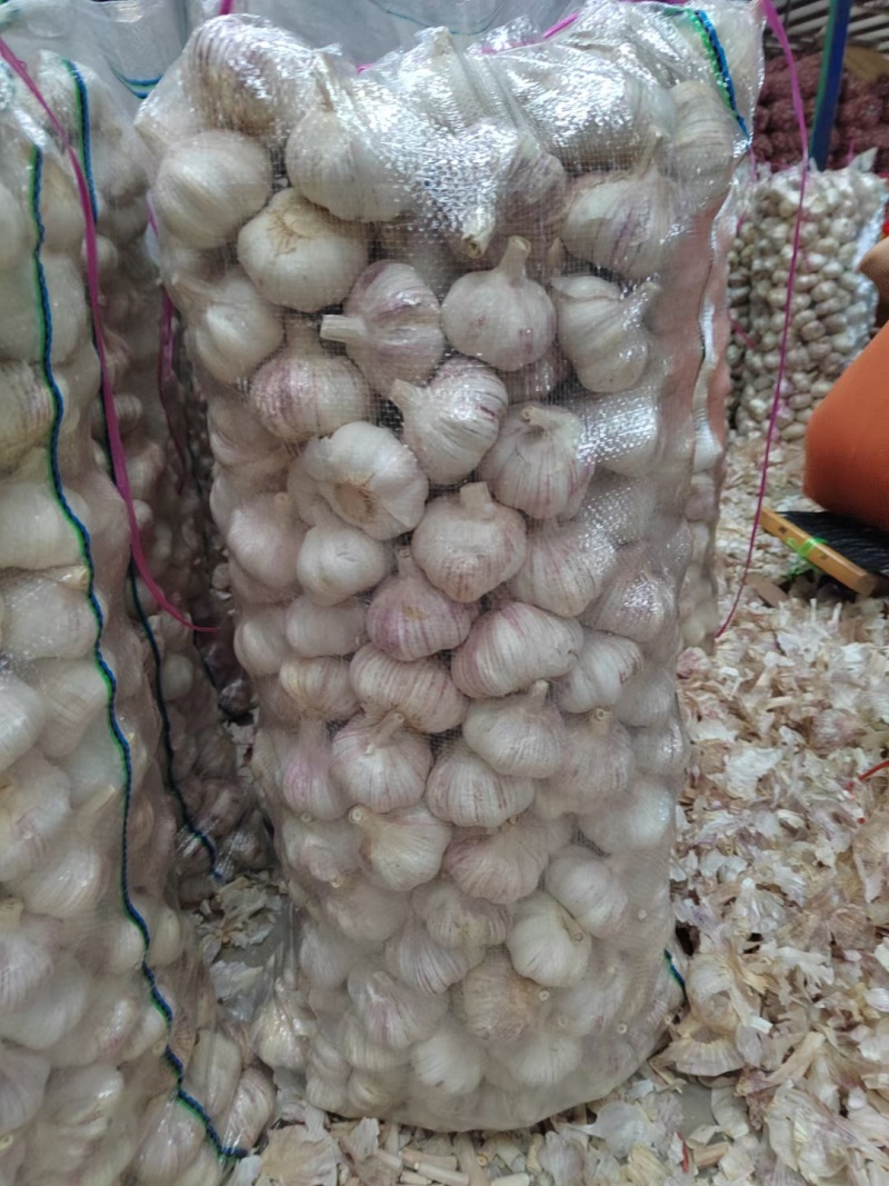 山东大蒜金乡大蒜量大从优价格便宜质量有保证