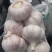 山东大蒜金乡大蒜量大从优价格便宜质量有保证