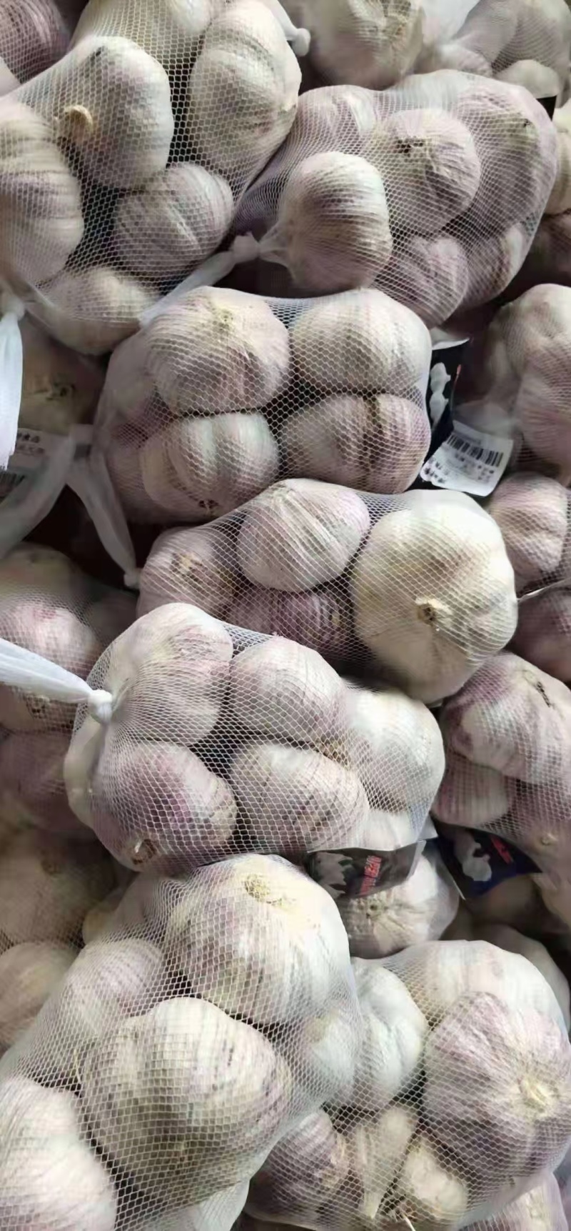 山东大蒜金乡大蒜量大从优价格便宜质量有保证