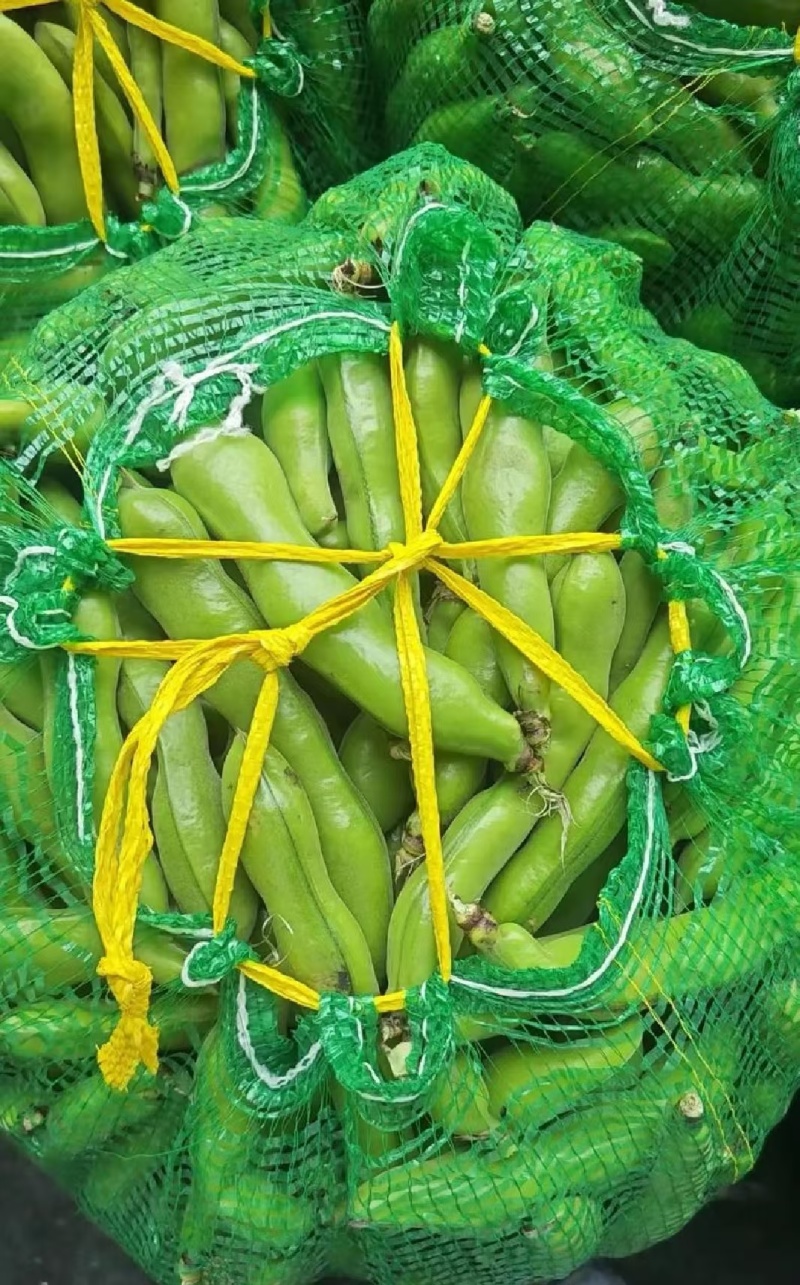 江苏精品蚕豆