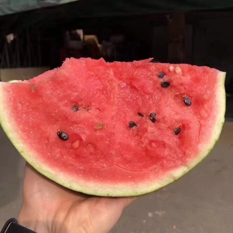 夏邑西瓜