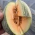 晓蜜25哈密瓜🍈大量现货需要的联系