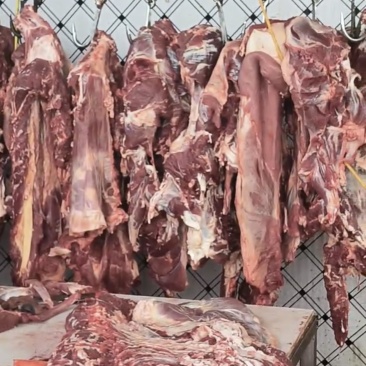 鲜冻牛肉、支持全国冷藏车发货