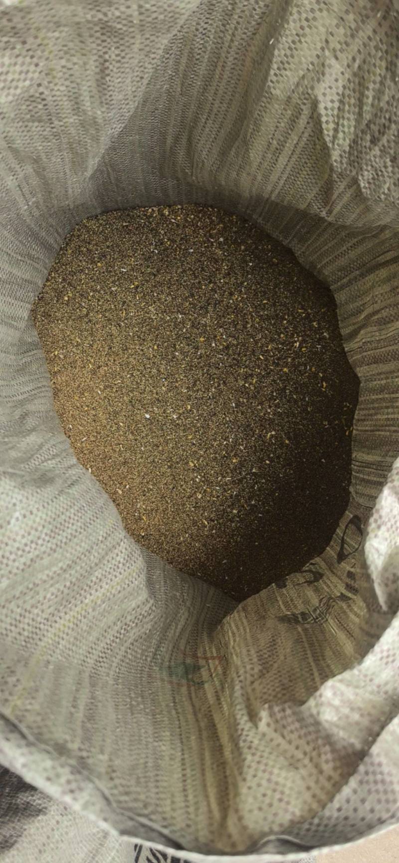 【猫爪草种】大量供应猫爪草种子保质保量可代存储