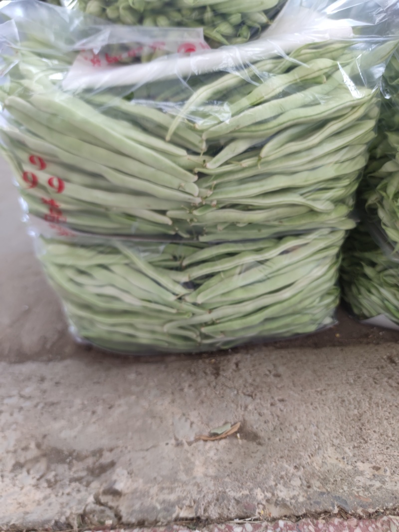 白豆油豆大量上市价格便宜