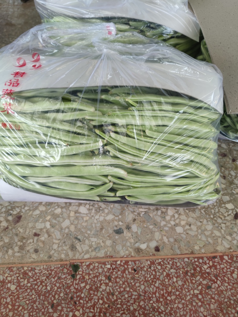 白豆油豆大量上市价格便宜