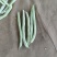 白豆油豆大量上市价格便宜