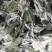 端午节野生艾叶人工采摘人工捡阴干