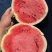 金星西瓜有籽麒麟大量上市中河北饶阳