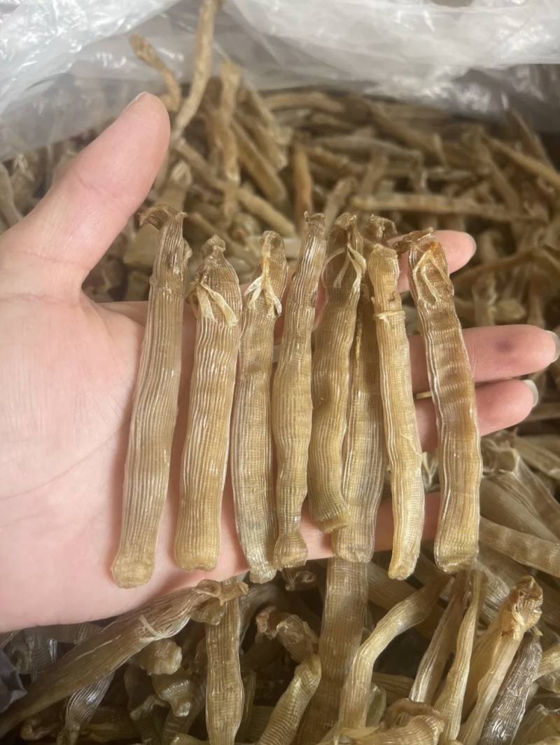 北海本地沙虫干