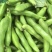【蚕豆】精品大蚕豆大量供应货源充足品质保证全国发货