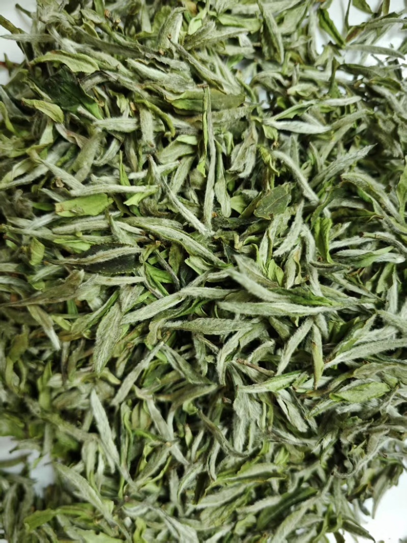 福鼎白茶.头采牡丹