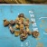 仙人掌油量大从优，一件代发