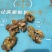仙人掌油量大从优，一件代发