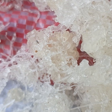 雪燕龙须