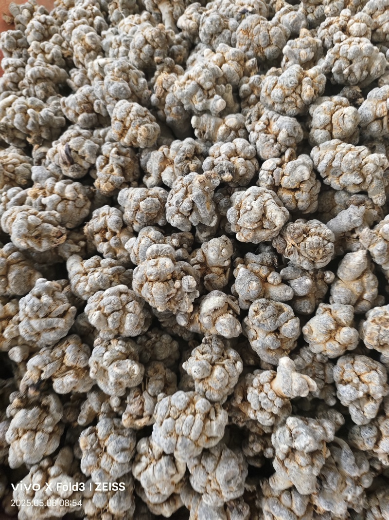 云南文山三七，产地直发，可打粉，诚信经营，
