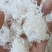雪燕龙须