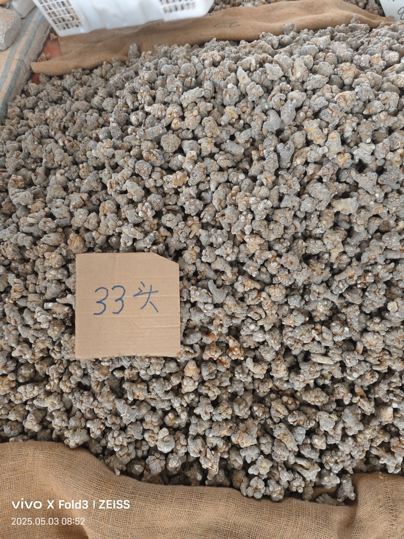 云南文山三七，产地直发，可打粉，诚信经营，