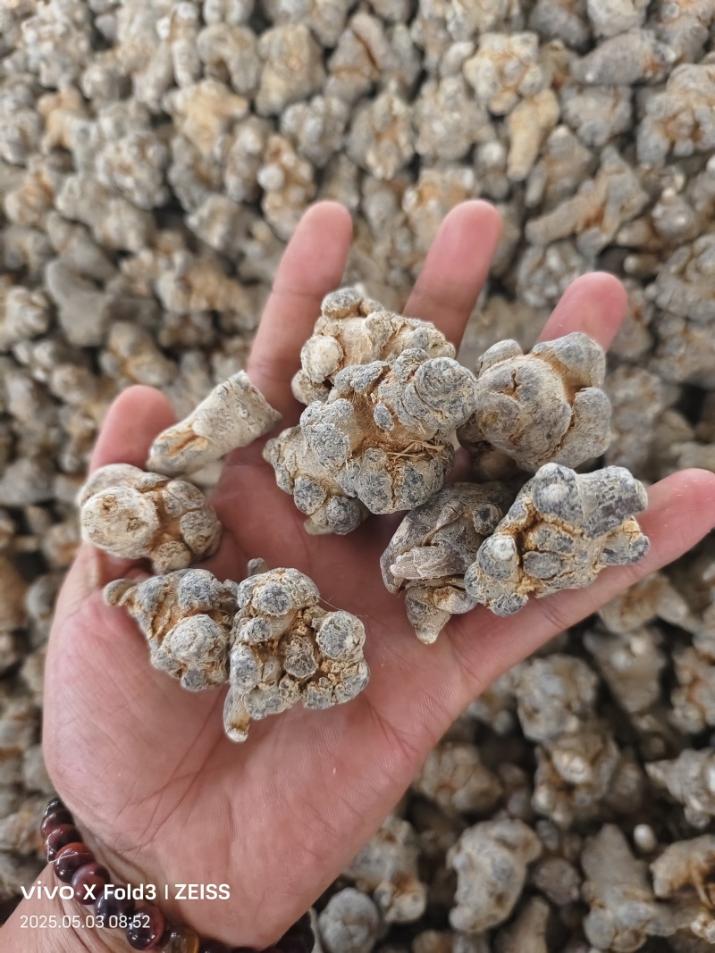 云南文山三七，产地直发，可打粉，诚信经营，