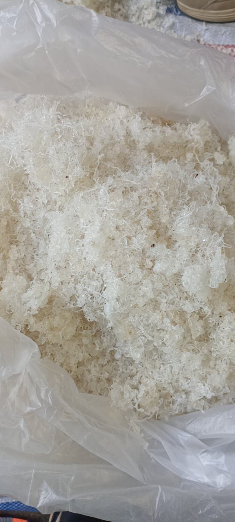 雪燕龙须