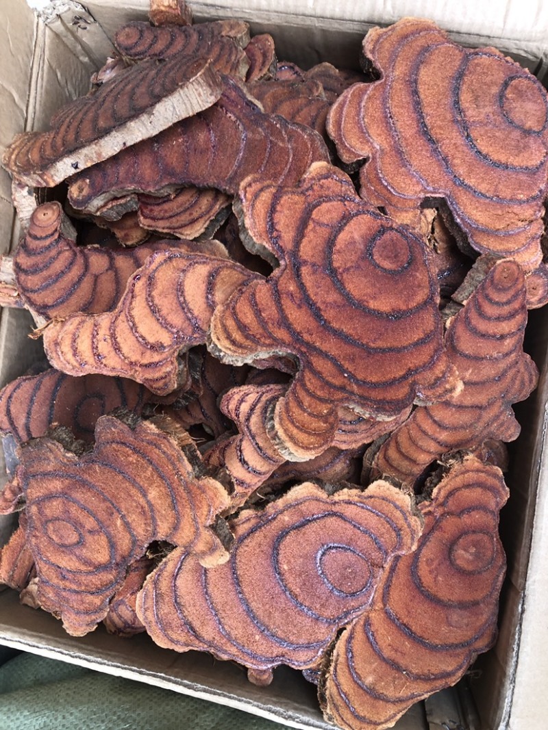 精品鸡血藤