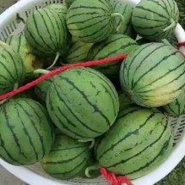 佳秀口口脆